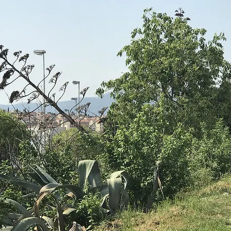 Luxury Valentina Spalato