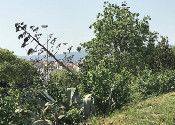 Luxury Valentina Split