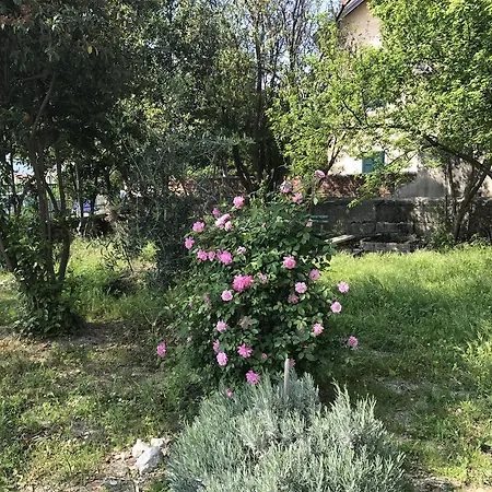 Luxury Valentina * Split